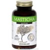 MASTICHA ACTIVE - Apothecary cps 1x100 ks