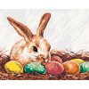ZUTY Maľovanie podľa čísel KRÁLIK A FAREBNÉ VAJÍČKA Rámovanie vypnuté plátno na rám Rozmer 80 x 100 cm