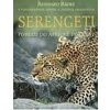 Serengeti - Pohled do africké divočiny