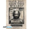 Abysse Corp Plagát Harry Potter - Wanted Sirius Black 91,5 x 61 cm