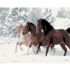 Diamondi Diamantové maľovanie - KONE V SNEHU Rámovanie: bez rámu a bez vypnutia plátna, Rozmer: 40x50 cm