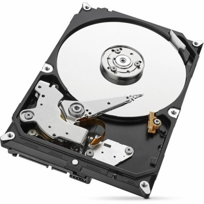 Seagate SkyHawk 1TB, ST1000VX005