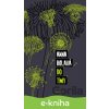 E-kniha Do tmy - Anna Bolavá