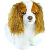 Rappa Plyšový pes King Charles španiel, 25 cm