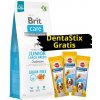 BRIT CARE Dog Grain-free Junior Large Breed Salmon 12kg + 3x DentaStix ZADARMO