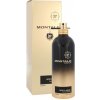 Montale Spicy Aoud 100 ml parfumovaná voda unisex