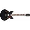 D'Angelico Premier DC Black