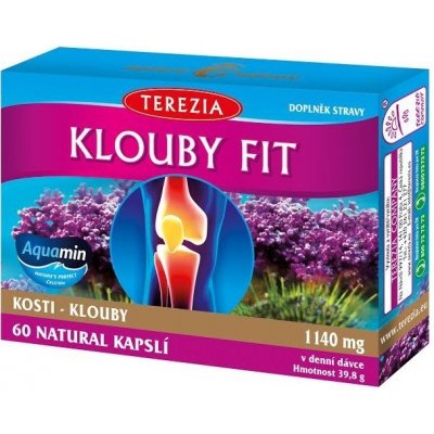 Terezia Company Klouby fit 60 kapsúl