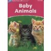 Dolphin Starter Baby Animals (C. Wright)