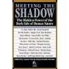 Meeting the Shadow