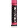 Burt’s Bees Tinted Lip Balm balzam na pery odtieň Hibiscus 4.25 g
