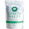 Elysium Spa Eukalyptus koupelová sůl s přírodním magnesiem 450 g