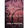 Ozveny medzi kameňmi (Jaime Jo Wrightová)