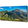 Foto obraz na plátne Panorama Tater 100x50 cm