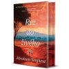 Rez do živého - Verghese Abraham