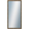 DANTIK - Zrkadlo v rámu, rozmer s rámom 60x120 cm z lišty TOOTH malá zlatá (3163)