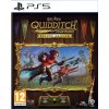Harry Potter Quidditch Champions Deluxe Edition
