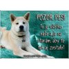 Pozorpes.sk, výstražná tabuľka (Akita Inu)