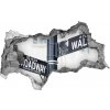 Fototapeta diera na stenu 3D Wall street sign 95x73 cm