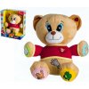 Teddies Medvěd Tedík mluvící 30cm