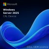 Dell Windows Server 2025/2022 OEM 634-CVDQ