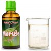 Moruša čierna púčiky 50 ml - gemmoterapie
