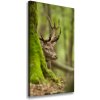 Vertikálny foto obraz tlačený na plátne Jeleň 50x100 cm