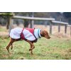 Nonstop dogwear Trekking fleece jacket