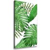 Vertikálny foto obraz na plátne Tropické listy 50x100 cm