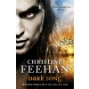 Dark Song - Christine Feehan