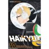 Viz Media Haikyu!! 10