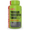 NUTREND TRIBULUS TERRESTRIS TURBO 120 kapsúl