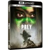 Predátor: Korisť - 4K Ultra HD Blu-ray + Blu-ray (bez CZ)