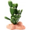 Aqua Nova Kaktus 15 cm