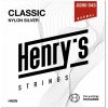 Henry's Strings HNSN Classic Nylon Silver Normal