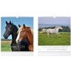 Horses 2026 - nástěnný kalendář