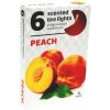 Admit čajové sviečky Peach 6 ks, Peach