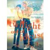 Twilight Out of Focus 3: Overlap
