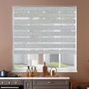 FOA Roleta Deň a noc, STANDARD, Breza, A 067 , 106 x 150 cm