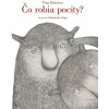 Čo robia pocity?