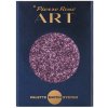 Pierre René Professional Art. Pallette metalické magnetické očné tiene pms náplň 090, 1,3 g