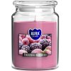 BISPOL-AURA Frozen Berries 500g