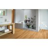 PARADOR Basic 5.3 SPC Dub Sierra prírodné kartáčovaná štruktúra 1743007 - 2.18 m2