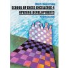 School of Chess Excellence 4 (Mark Dvoretsky)(Brožovaná)