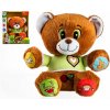 Teddies Medveď Vojtík hovoriaci 30cm