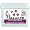 DROMY COLLAGEN - 2500 g / 90 dávok