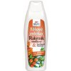 Bione Cosmetics Rakytník rešetliakový & Panthenol Allantoin výživné telové mlieko pre všetky typy pokožky 500 ml