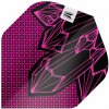 Target darts Lorraine Winstanley G2 Pro.Ultra No2 338120