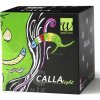 Wellion CALLA light blackberry - Glukometer 1x1 set