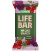 Lifefood Lifebar Oat Snack ovocný BIO 40 g